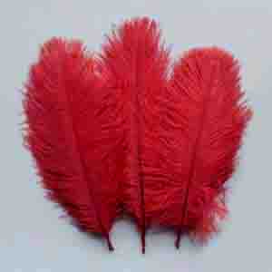 Strucctoll 20-25cm - CHERRY RED - Col.148